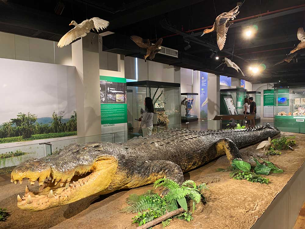 Lolong Croc 